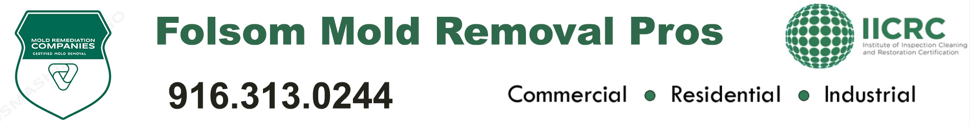 Folsom Mold Removal Pros