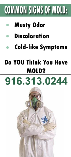 Folsom Mold Remediation Contractor